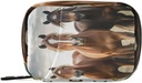 Zirgu Pill organizētājs Case Portable Weekly Pill Case Bag Organizators ar zipper papildinājumiem Medicīna Travel Family Business