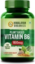 B6 vitamīns, kas ir uz augu bāzes