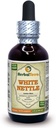 Herbal Terra LLC White Nettle (Lamium Album) Tinktūra, Kaltētas lapas Šķidrais ekstrakts 2 oz