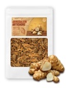 (8oz) Lauksaimnieks Karaliene Grasted Jerusalem Artichoke Helianthus Tuberosus Rich Inulin Polifenols Diētiskā Fibe 