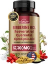 Premium berberīna papildinājums ar Resveratrol Quercetin Alpha Liposkābe - 50:1 Berberīna HCl komplekss Spēcīgi antioksidanti, polifenoli, Vitality Boost - 90 Vegan tabletes, ne-GMO, bez lipekļa
