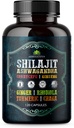 Shilajit for Men – 8-in-1 Adaptogenic Papildinājums ar Ashwagandha, Cordyceps, Ginseng, Rhodiola, Turmeric, Chaga & Ginger – Dabas enerģija, Stress Relief & Imūnsupport – 120 Vegan kapsulas