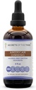 Noslēpumi tribe amerikāņu žeņšeņa Tincture Alkohola bez šķidruma ekstrakts, Farm Grown American Ginseng (Panax Quinquefolius) Kaltēta saknes (4 FL OZ)