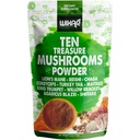 Wixar sēņu pulveris - desmit dārgumi Sēņu ekstrakts Papildinājums Coffee & Smoothies - Lions Mane, Turcija Aste, Reishi, Chaga, Shiitake, Cordyceps, Complex - 4oz Sēņu Papildinājums