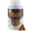 Naturealm svētais 7 Organic Sēņu ekstrakts Kapsulas - Premium 7 Sēņu papildinājums ar Lions Mane, Reishi, Chaga - USDA Organic Imūnsupport & Focus - 90 Veģetārās kapsulas