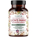 Plant.O Premium Lion's Mane pielikums, visi dabas nootrops Smadzeņu papildinājums, 5 Sēņu komplekss – Lion’s Mane, Reishi, Chaga, Maitake, Shiitake for Immunity, Focus, Mood & Memory Boost, 90 Caps