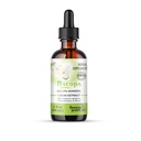 Bacopa pilieni -Uzlabo atmiņas koncentrācija, Focus - Bacopa Monnieri ekstrakts - Smadzeņu papildinājums Atmiņas papildinājums Kognitīvā uzlabošana - Herbal Remedy 2.0 fl oz - WellnessHerbs Kuģi no ASV.