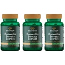 Swanson Boswellia Serrata Extract 125 mg 60 Veg Caps (3 iepakojumi)