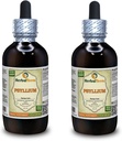 Psillijs (Plantago Ovata) Tinktūra, Organiski žāvēts sēklu šķidruma ekstrakts (Zīmola nosaukums: HerbalTerra, Proudly Made in USA) 2x4 fl.oz (2x120 ml)