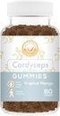 Kordiceps Sēnes Gumijas - Var atbalstīt enerģiju, izturība, un izturība - Tropical Mango Flavor - Vegan, Non-GMO, bez lipekļa, Želatīns bez - 60 grāvji