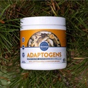 TruWild Adaptogens Vegan Kapsulas papildinājums w/Ashwagandha + Maca w/Full Spectrum Sēnes – visas dabas – 40 Kalpojumi