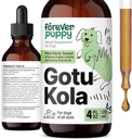 Forever Puppy Gotu Kola pilieni suņiem - Gotu Kola ekstrakts & Centella Asiatica smadzeņu veselības atbalstam - Uztura smadzeņu papildinājums suņiem visu šķirņu & izmēru - 4 unc