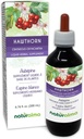 Naturalma Hawthorn (Crataegus oxyacantha) Lapu un ziedu Tinktūra bez alkohola - 6.76 fl oz Šķidrais ekstrakts pilienos - Augu Papildinājums - Vegan