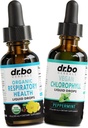 Lung Detox Respiratorās veselības pilieni un hlorofils Šķidrums - Organiskie respiratori Papildinājumi Herbal Lung Cleanse Mullein Lungs Bronchial Support - Hlorofils nokrīt Odor Attīra iekšējo dezodorantu