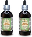 Blue Vervain (Verbena hastata) Glicerīts, Organiskās Žāvētas Virsgrunts daļas Bezalkohola šķidruma ekstrakts (Zīmola nosaukums: HerbalTerra, Proudly Made in USA) 2x4 fl.oz (2x120 ml)