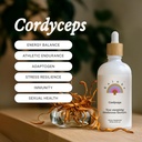 Rainbo - Cordyceps Sēņu Tincture - bez alkohola - Dual Extract Sēņu papildinājums - Imūnsupport, Enerģija, Šķidrs Cordyceps Papildinājums, Vegan, ne ĢMO, 3.4 fl oz