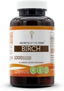 Tribe Birch 120 kapsulas, 1000 mg, Birch (Betula Pendula) Žāvētas lapas (120 kapsulas)
