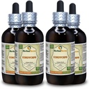 Kordicepss (Cordyceps Sinensis) Tinktūra, Organiski žāvēts sēņu pulveris Šķidrais ekstrakts (zīmuļa nosaukums: HerbalTerra, Proudly Made in USA) 4x4 fl.oz (4x120 ml)