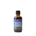 WishGarden Herbs Chlorophyll & Friends - hlorofila šķidrs pilieni ar Nattle Leaf, Holy Basil, Moringa Leaf & Peppermint Leaf, atbalsta pastiprināta enerģija, veselīga imūna, & stresa reakcija, 2oz