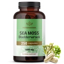 HERBAMAMA Irish Sea Moss Kapsulas - 1600mg Sea Moss and Bladderwrack for Imūnsupport - Vegan, Non-GMO Immunity Papildinājums vispārējam atbalstam