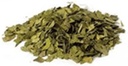 Labākā botānika Ginkgo Leaf Cut 16 oz.