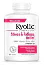 Kyolic Aged Ķiploki Extract Formula 101, Stress un nogurums Relief, 300 kapsulas.
