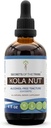 Noslēpumi no tribe Kola Nut Tincture Alkohola-free ekstrakts, Kola riekstu (Cola Acuminate) Kaltēts nut (4 FL OZ)