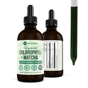 360 Uzturs Matcha Hlorofila šķidruma pilieni ar L-teanīnu, bez lipekļa un vegana iekšējā dezodoranta papildinājums, atbalsts Gut Veselība, Gremošana, Enerģija, Radianta āda, Ātra Absorbcija, 60 Kalpo