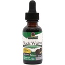 Dabas atbilde Black Walnut Green Hull Extract 1oz - bez alkohola, bez lipekļa, bez košera - Black Walnut, Wormwood Black Walnut Clove Parasite Tīrīšana - Detox un aknu atbalsts, gremošanas tīrītājs
