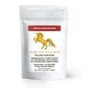 Additive Wellness Reishi Sēņu ekstrakta pulveris + sporas (50/50 Blend) Kokaudzēts Pure & Potent Wildcrafted Ganoderma (100 Grams)