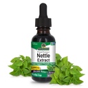 Dabas atbilde Nattle Leaf 1oz ekstrakts  - Prostata Suppot - Koncentrēts Tumši Zaļa Nattle Leaf Herbal Papildinājums - Non-GMO, Kosher, Bez lipekļa, & Alkohols-free