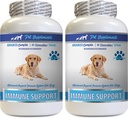 Imūnsupport Vitamīni - suņi Imūnsupport - dadzis Saknes ekstrakts Organisks - dadzis Saknes suņiem - Imūnsuņu tabletes, Imūnsupporta suņiem probiotikas, Imūnsupporta papildinājums 2 Bots (120 Košļājamās