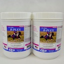 SU-PER B-Plex pulveris Equine Vitamīni - Complete B-Complex Zirgu vitamīni un minerālvielas Papildinājums - Veseli nagi, sarkanās asins šūnas, Zirgu kalcinošs pulveris - 2.5 Dūņas, (2 iepakojumi)