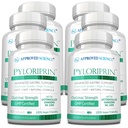 Apstiprināts Science Pyloriprin - Advanced Digestive Support for A Healthy Kuņģis - Cinka L-Carnosine, Probiotikas, Broccoli Sprout, Deglicyrrhized Licorice - 360 Kapsulas - sešu mēnešu piegādes - Vegan