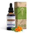 Tribe California Popy Tincture Alcohol-free Liquid Extract, USDA Organic California Poppy (Eschscholzia Californica) Sausā sakne (2 FL OZ)