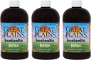 Yerba Prima Great Plains Bentonite Clay - 16 oz (3. iepakojuma) - Dabīgs iekšējais šķidro mālu tīrīšanas papildinājums