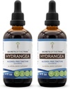 Noslēpumi no tribe Hydrangea Tincture Alkohola brīva šķidruma ekstraktu, Hydrangea (Hydrangea arborescens) Kaltētas saknes (2x4 FL OZ)