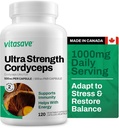 Vitasave Cordyceps Sēņu papildinājums – 1000mg Ultra Stiprums – Dabas enerģija, Izturība un Imūnsupports – Tīras Vegan kapsulas – Bez GMO, bez lipekļa – 120 Skaits (60 dienu piegādes)