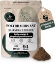 Džungļu pūderi Black Ant ekstrakts Pulveris 30:1 Koncentrācija, 94 Kalpojumi - 5 Ziedi Pure Polyrhachis Black Ant Papildinājums, Filter Bezmaksas Changbai Mountain Ant Tradicionālās Vīriešu Veselības Atbalsts Drive