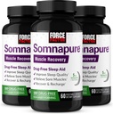 FORCE FACTOR Somnapure Muskuļu atveseļošanās Miega atbalsts pieaugušajiem ar Melatonīnu 5 mg, Svēto Baziliku un L-teanīnu, Miega atbalsta papildinājums, Muskuļu Soreness Removal, & Muskuļu atveseļošanās, 180 Caps, 3 iepakojums