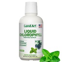 Zemes māksla - Šķidrā hlorofila kaltuve – Auksti izvilkta no savvaļas ne-GMO Alfalfa – Dabīgais Clorofila Liquida – Antioksidants – Detox papildinājums – Boost Enerģija – Alkalizing & Body Odor Nelizer – 16 floz