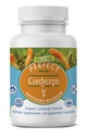 Perfekti papildinājumi – Perfect Cordyceps – 90 Dārzeņu kapsulas – Organic Adaptogenic augu papildinājums – Palielina enerģiju, izturība un stiprums