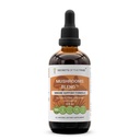 Trejlapu sēņu noslēpumi Blend Alcohol-free, Glycerite Chaga, Shiitake, Maitake, Cordyceps, Reishi Mushroom. Tincture, Herbal Extract Imūnsupport Formula 4 OZ