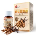 Wild Cordyceps Plus – Tibetas savvaļas Cordyceps & 5 Kultivētas Cordyceps imūnās, enerģijas un plaušu atbalsts – 60 kapsulas