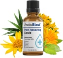 N Labs Arctic Blast Premium lokālie sāpju relaksācijas pilieni – ātri absorbējošs DMSO, mentols un kampars aizmugurei, celiņam, plecam, locītavu un muskuļu sāpēm – dzesējošs Rub formula – izgatavots ASV – 1 fl oz