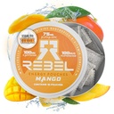 Nootropiskā enerģija Kofeīna maisiņi • 100 mg kofeīns • Alpha GPC • Huperzine A & Essential Vitamīni • Bezcukura • Kokosriekstu šķiedru tehnoloģija • Mango Flavor • 15 maisiņi vienā kannā (1. iepakojums)