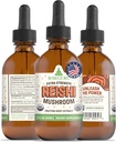RawGuru Organic Reishi Sēņu Tincture - Reishi Sēņu ekstrakts ar dabīgām trace Minerals - Nano-Processed Cognitive & Imūnatbalsta papildinājums - 60 Servisi Vegan Drops uz 60 ml, iepakojumā 1