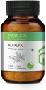 Sheltr Alfalfa tabletes, Medicago Sativa, visas dabīgās, tīrās augu tabletes 500 mg x 120 tabletes